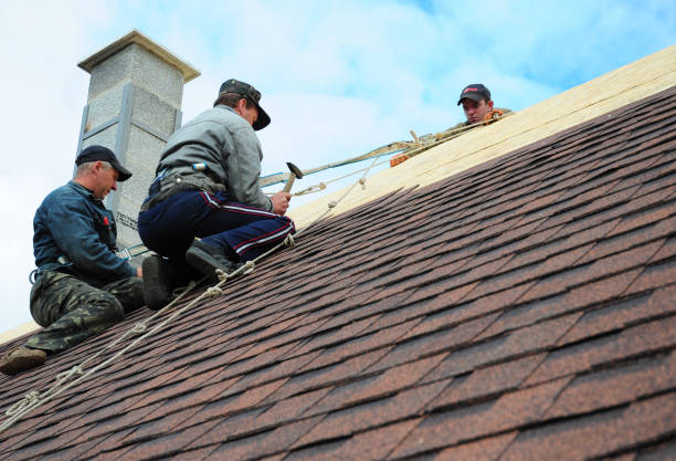 Best Roof Gutter Cleaning  in Greenfield, TN